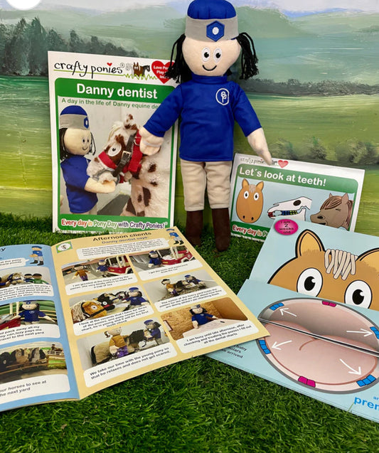 Danny Dentist - Crafty Pony Toy