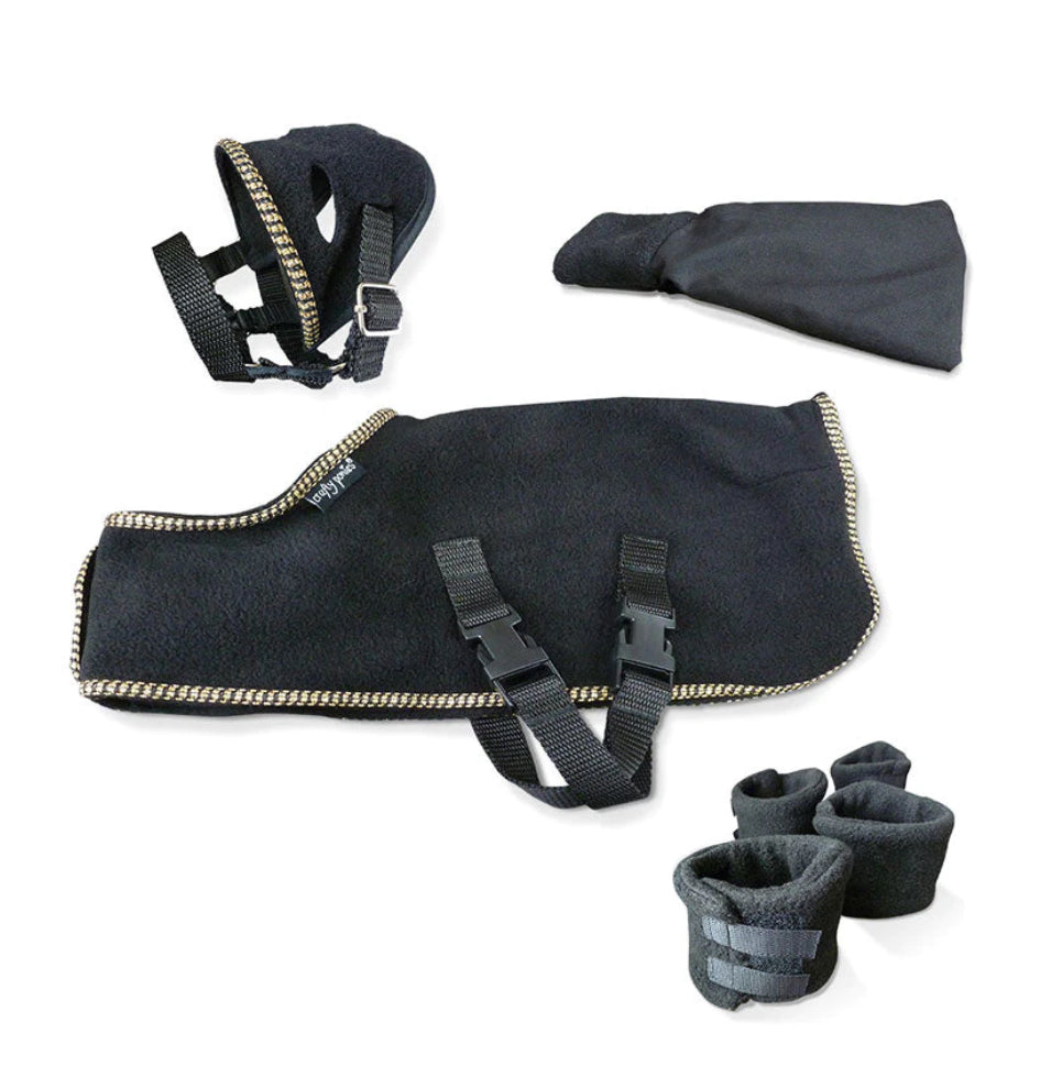 Show Rug/Blanket Set- Crafty Pony Toy