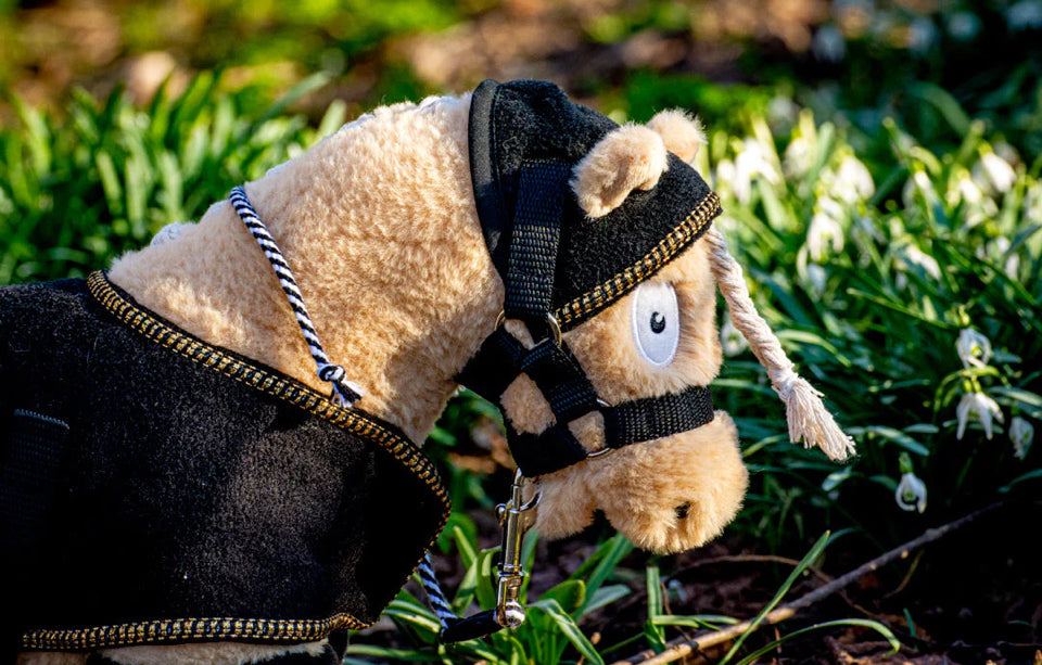 Show Rug/Blanket Set- Crafty Pony Toy