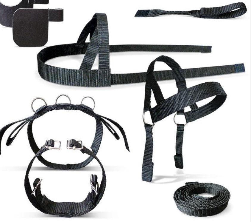 Driving Harness - Crafty Pony Toy