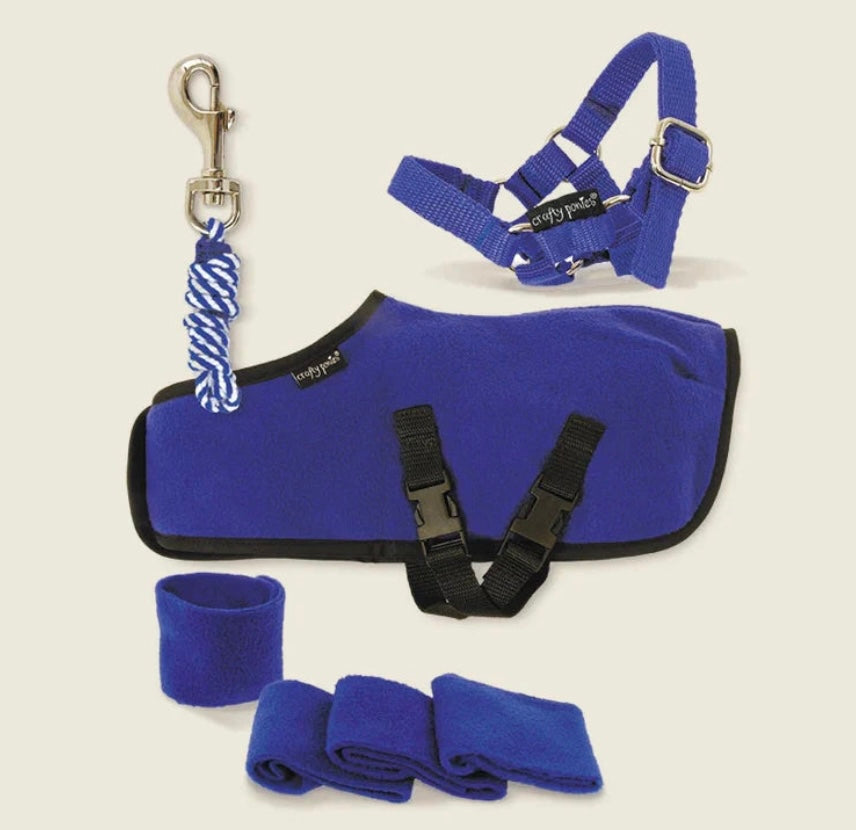Fleece Rug Set & Booklet - Crafty Pony Toy