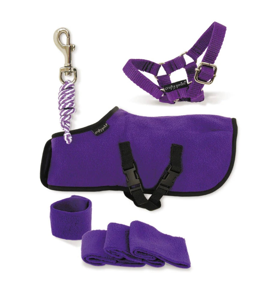 Fleece Rug Set & Booklet - Crafty Pony Toy