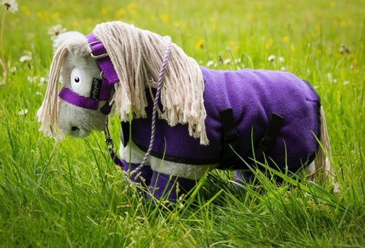 Fleece Rug Set & Booklet - Crafty Pony Toy