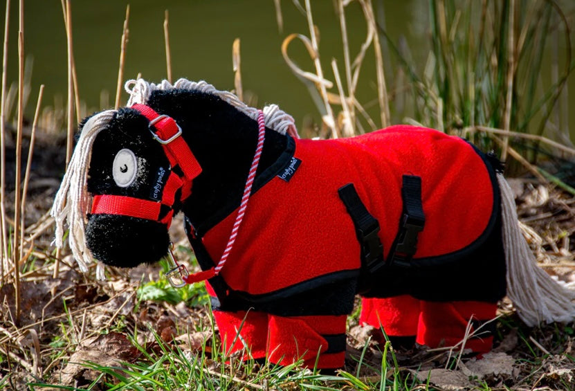 Fleece Rug Set & Booklet - Crafty Pony Toy