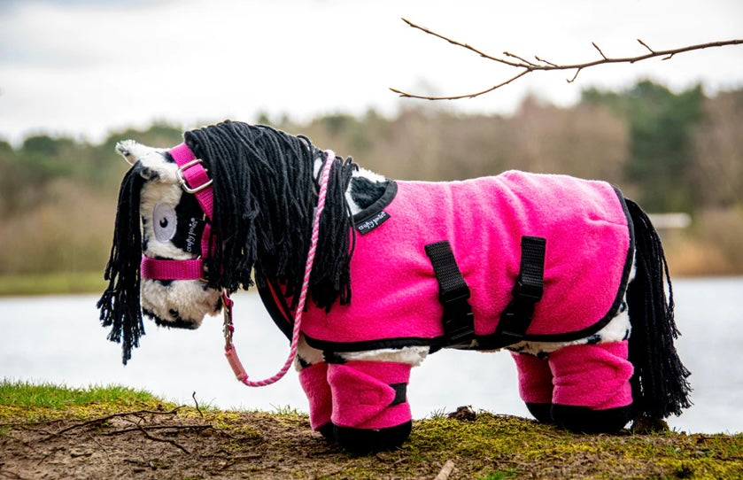 Fleece Rug Set & Booklet - Crafty Pony Toy