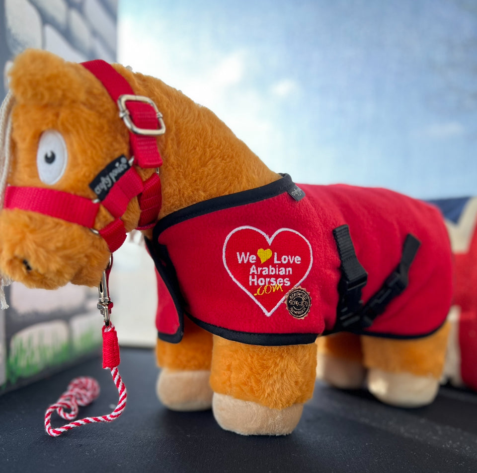 We LOVE ❤️ Arabian Horses Starter Set