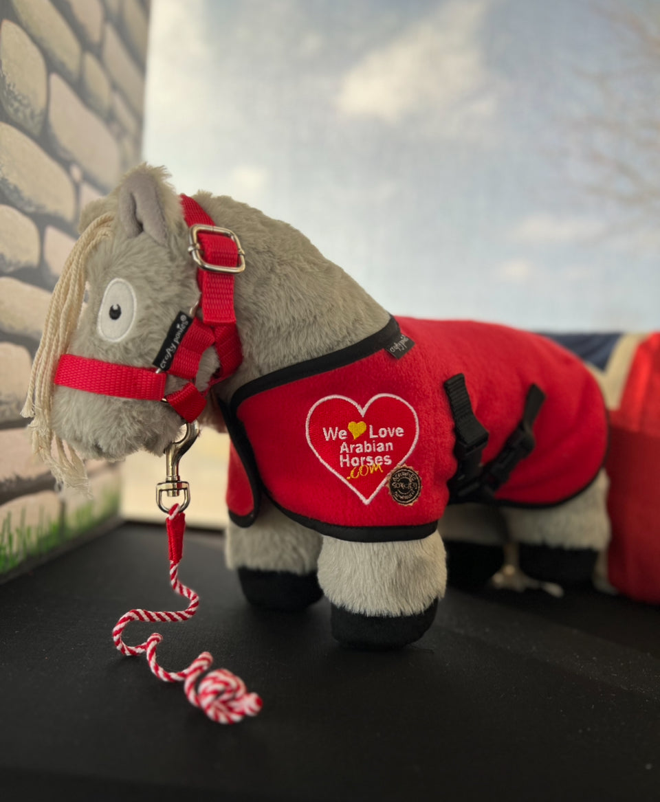 We LOVE ❤️ Arabian Horses Starter Set