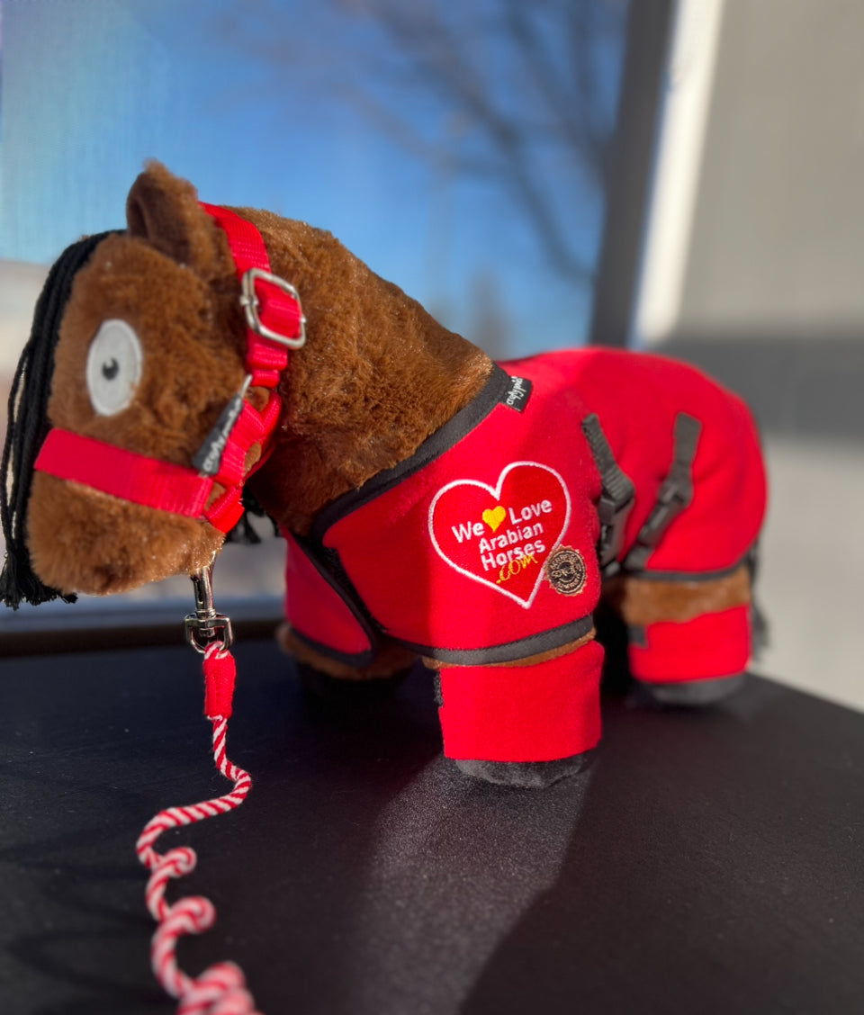 We LOVE ❤️ Arabian Horses Starter Set