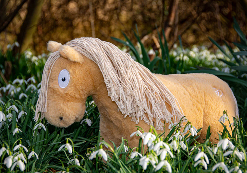 Crafty Pony Educational Toy