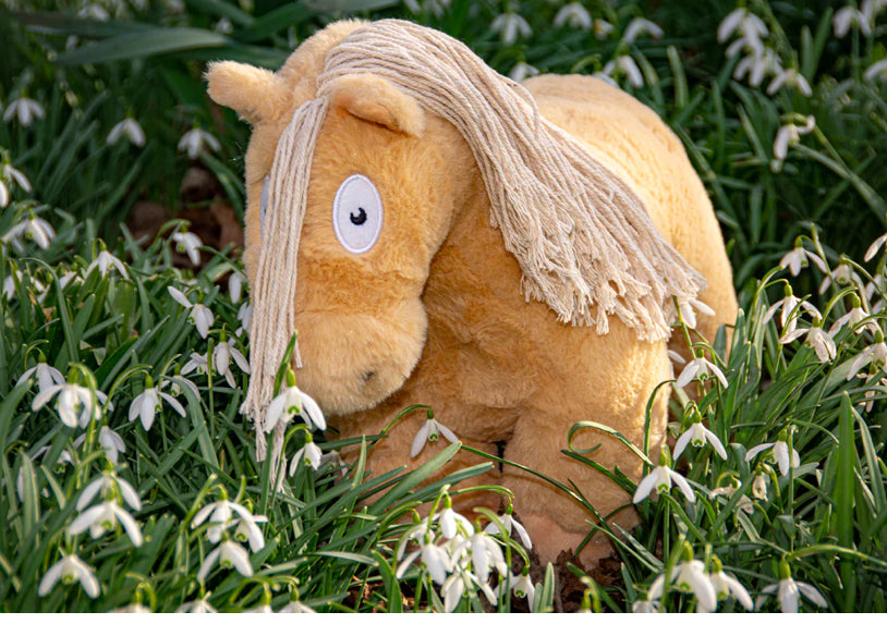 Crafty Pony Educational Toy