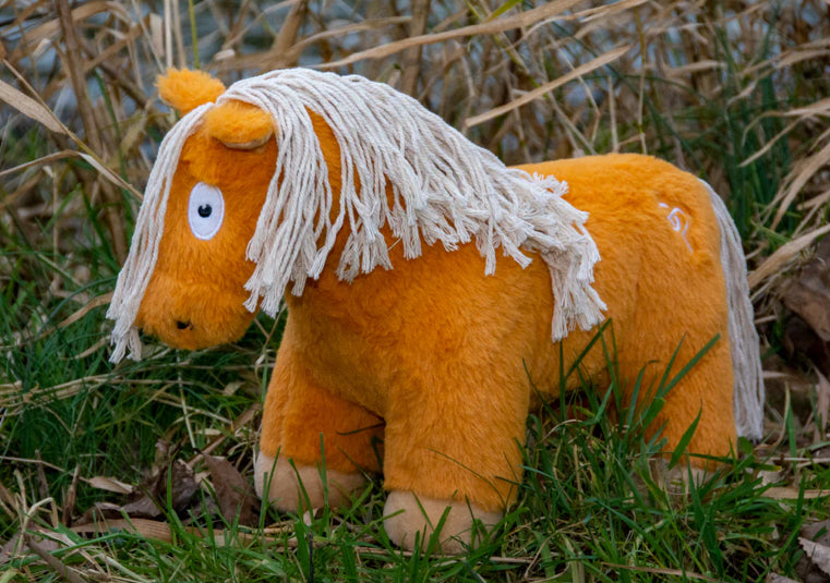 Crafty Pony Educational Toy