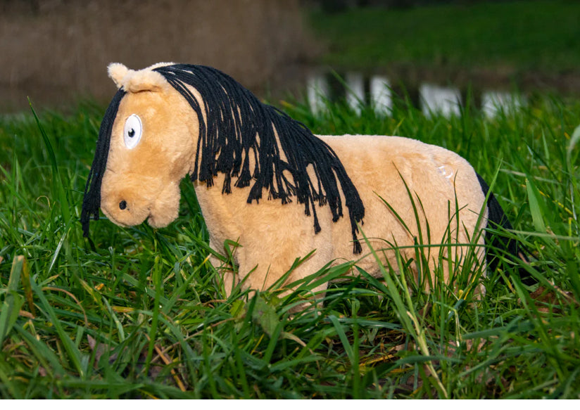 Crafty Pony Educational Toy