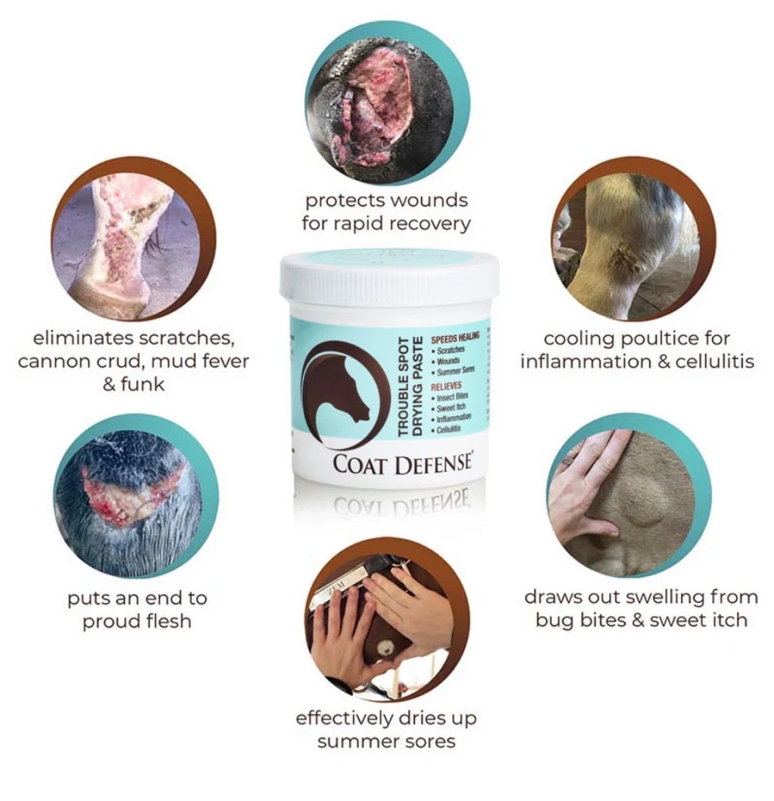 Coat Defense - Trouble Spot Drying Paste