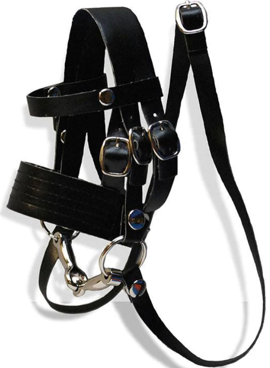 English Bridle- Crafty Pony Toy